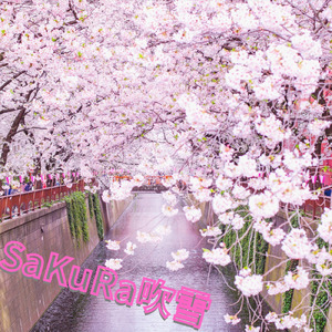 SaKuRa 吹雪