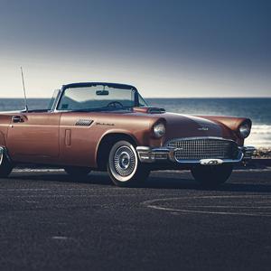 Titanic x My Heart Will Go One (Savior Remix)