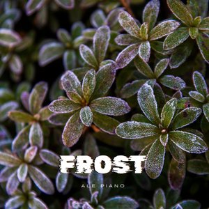 Frost
