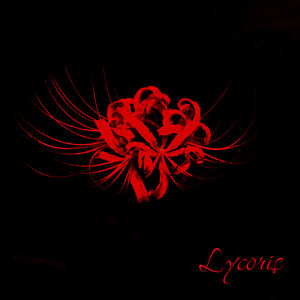 Lycoris