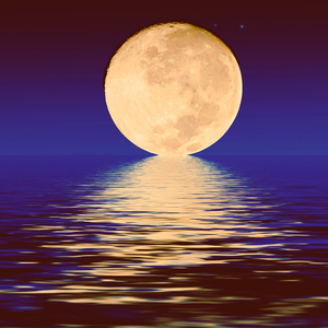 Deep Sleep Creation Voice Only Guided Sleep Meditation