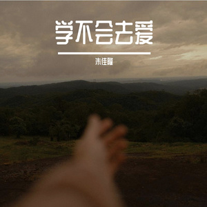 学不会去爱