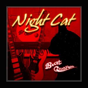 Night Cat