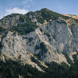 发芽（轻松舒缓钢琴曲）