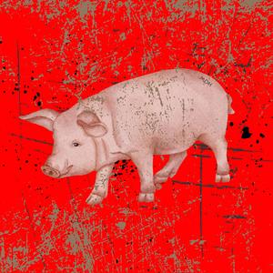 Dont Know What to Do