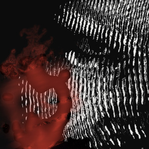 Keep It on The Sunny Side Up