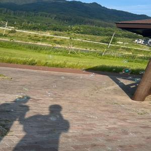 またあなたに恋をしたいの