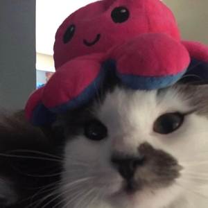 Because Yesterday I Got Married