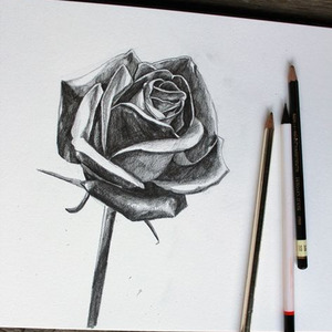 My Strange Addiction