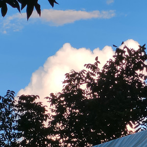 Sum LOVE(prod by kumark)