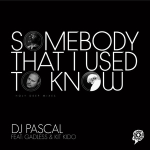 Somebody That I Used to Know (Holy Deep Instrumental)