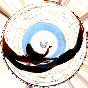 Entertainer (Zayn Cover Mix)