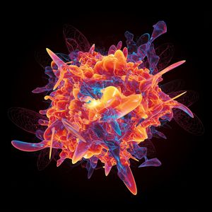 Feel the Sun on My Skin