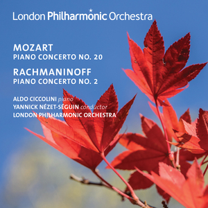 Piano Concerto No. 2 in C Minor, Op. 18: I. Moderato (Live)