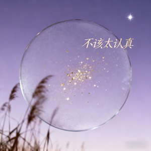 不该太认真