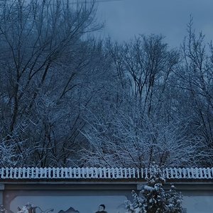 思念是墨 晕开了沉默