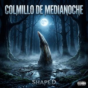 COLMILLO DE MEDIANCOHE