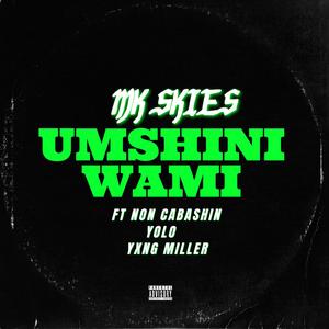 UMSHINI WAMI (feat. NON CABASHIN, YOLO & YXNG MILLER)