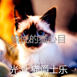 微妙的猫在家心情