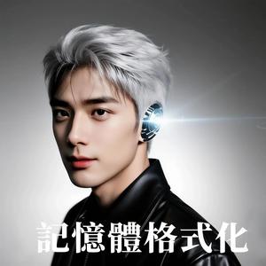 記憶體格式化