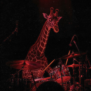 Wild Wild Animals