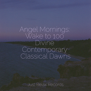 Whispers of Tranquil Air