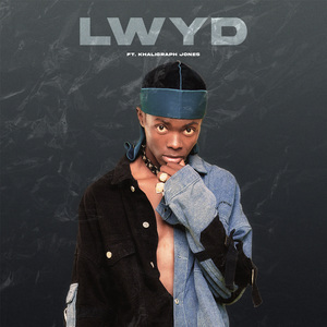 Lwyd (Radio Edit)