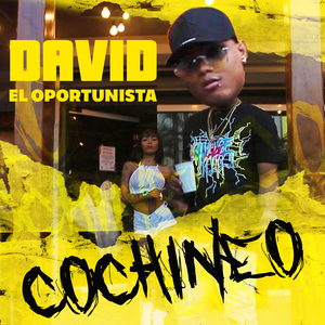 Cochineo