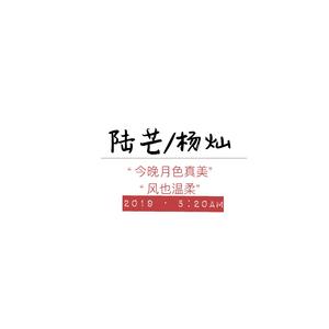 琅琊榜2同人曲《愿为同命鸟》（渣翻版）