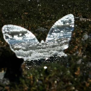 增加150%好运（热播版）