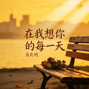 在我想你的每一天