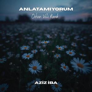 Anlatamıyorum (Orhan Veli)