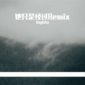 她只是经过（DogbAa remix）