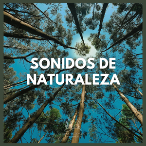 Sonidos de Naturaleza (P68)