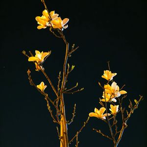 雨停前的最后一个音符