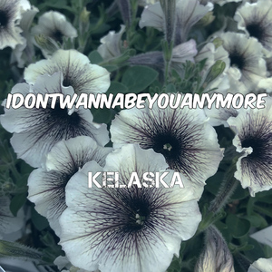 Idontwannabeyouanymore