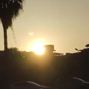 【FREE】"落 日 余 晖"