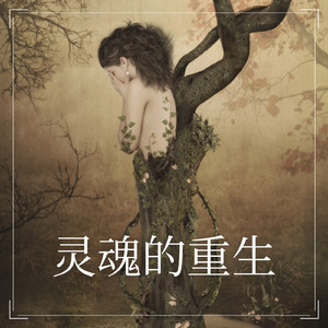 灵魂的重生