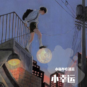 小幸运（治愈电音版）