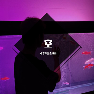 空(烟嗓版)（Cover：小李不是老演员）