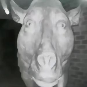 加油 孩子们 给我买个冰棍吃