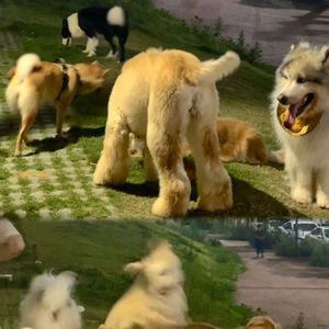 在这世界中挣扎