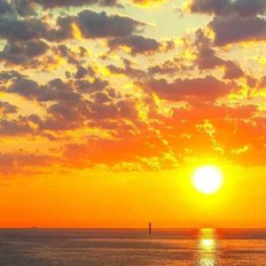 我的世界只有你