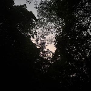 怎么我会看不到未来