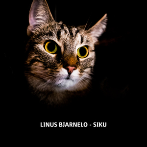 Siku