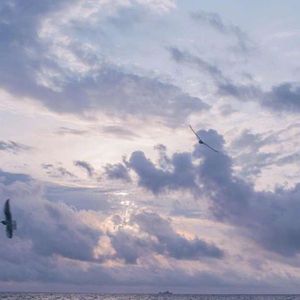 Snow melts into a river in spring