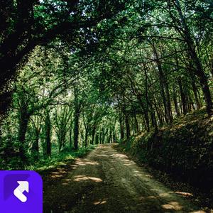 缓慢（钢琴曲）