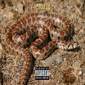 Snakez