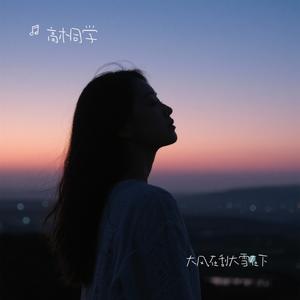 大风在刮大雪在下