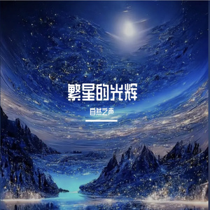 繁星的光辉-整曲